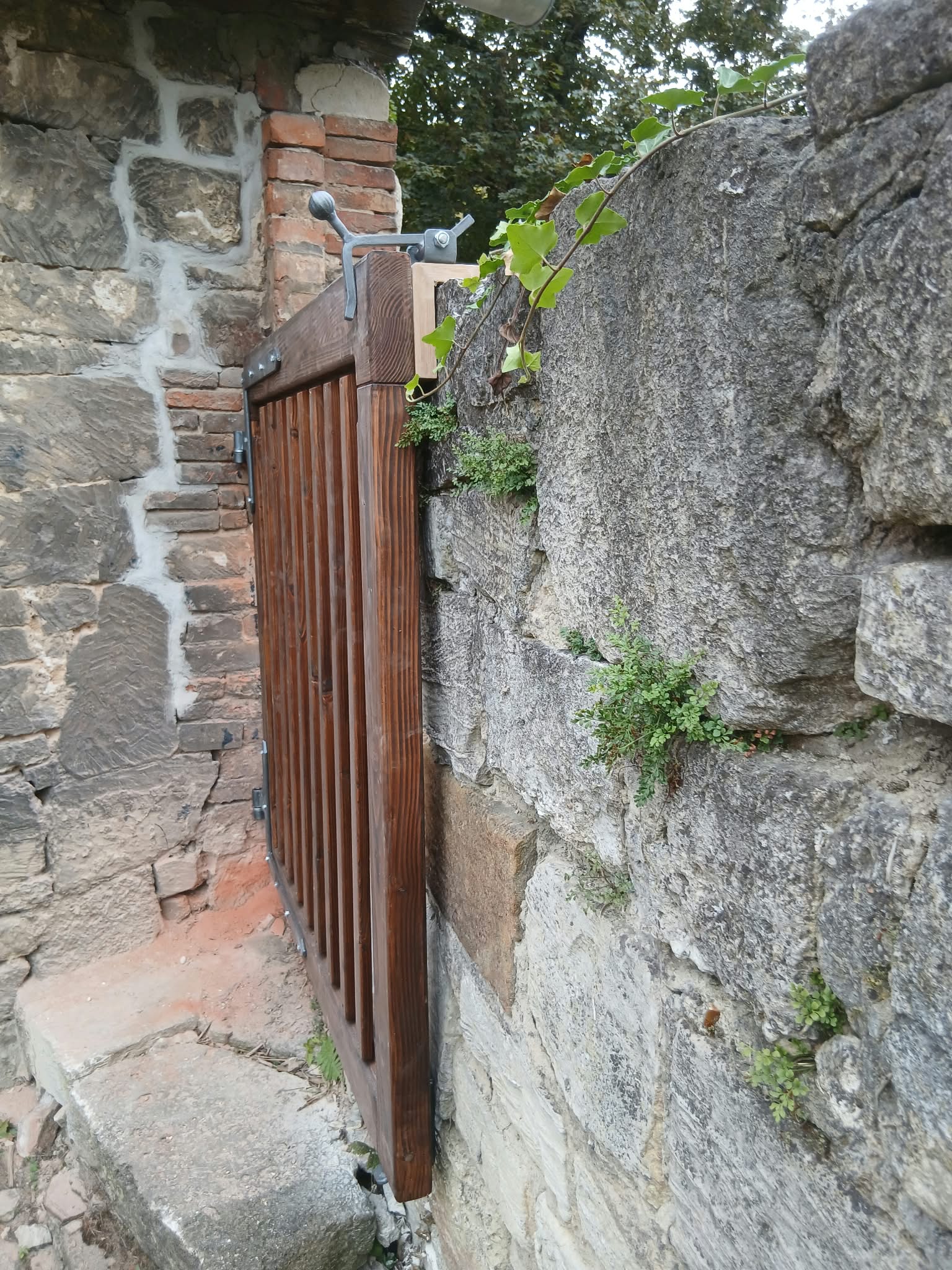 IMG 20260825 WA0003